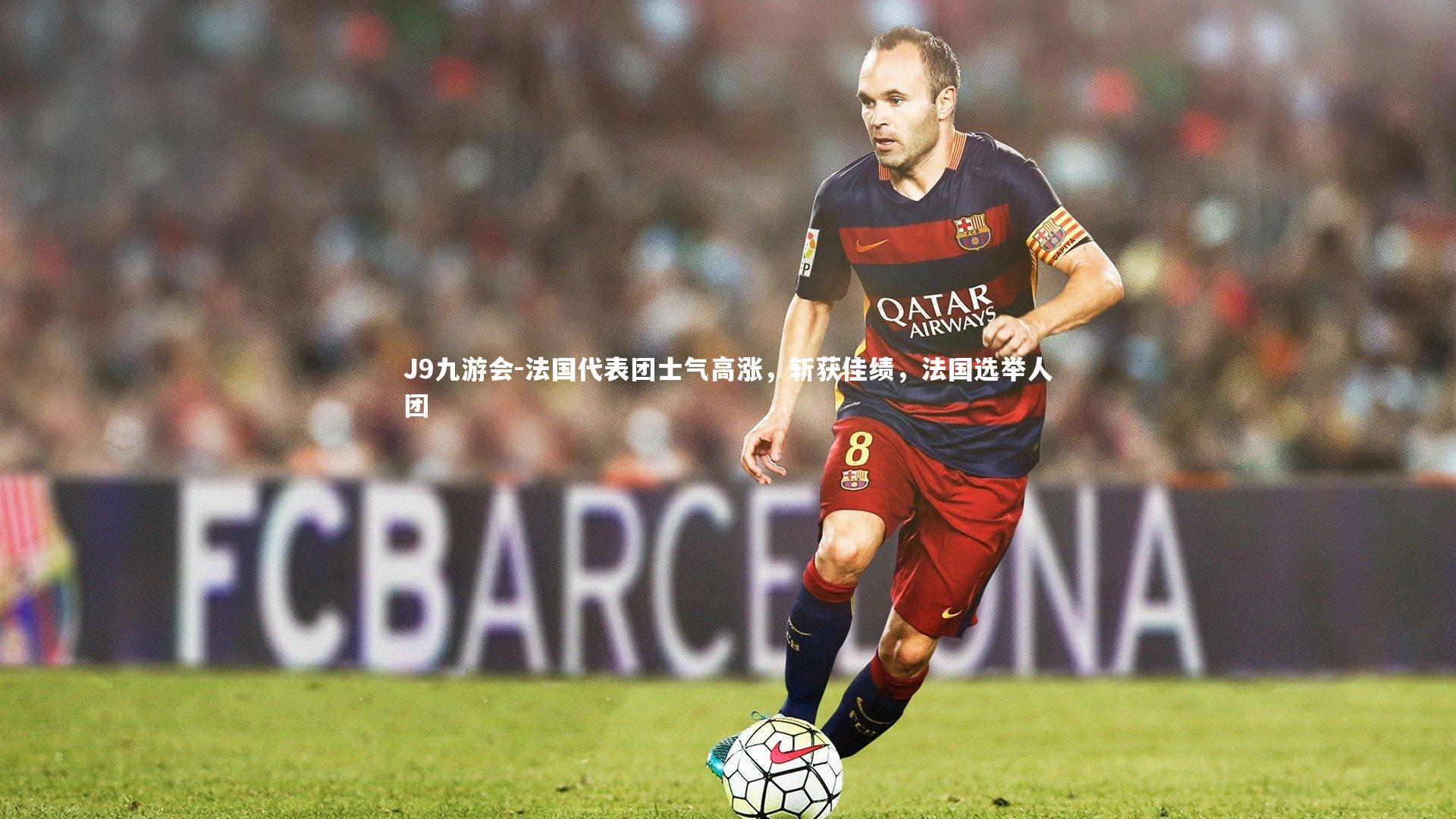 法国代表团士气高涨，斩获佳绩，法国选举人团