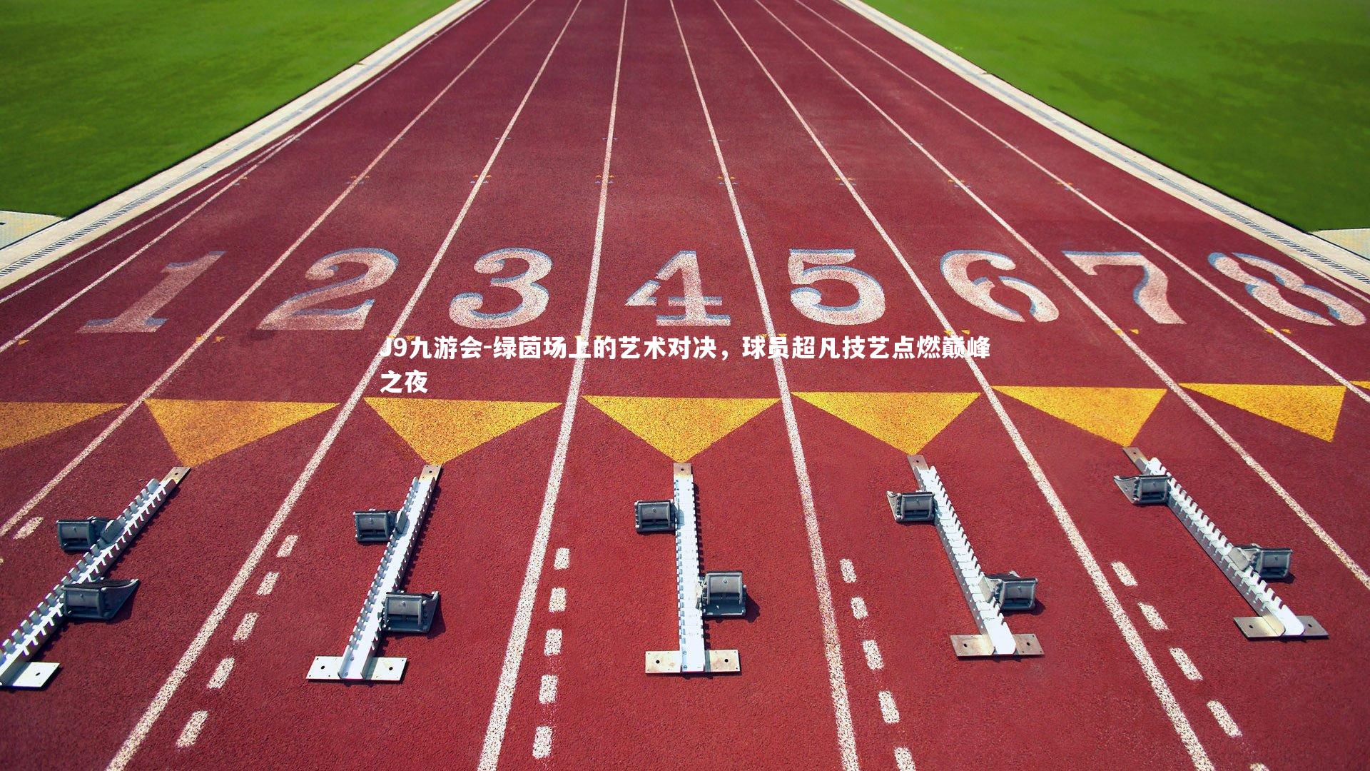 绿茵场上的艺术对决，球员超凡技艺点燃巅峰之夜